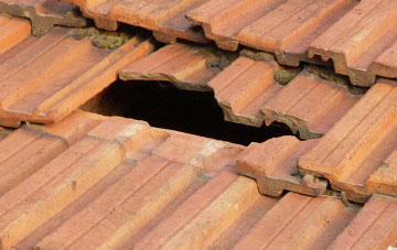 roof repair Hampton Bank, Shropshire